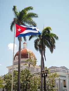 a flag flying on top of a building with palm trees in the foreground and a domed dome