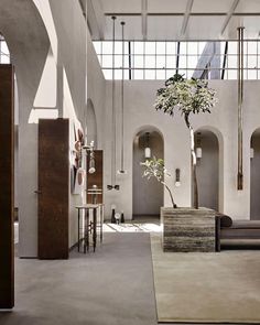 a large tree in the middle of a room with high ceilings and arched windows on both sides