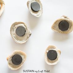 several oysters with black coins in them on a white surface