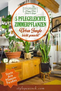 an advertisement for the stylpeacock store with plants in pots on top