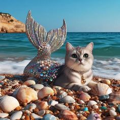 a cat laying on top of a beach covered in seashells and mermaid tails