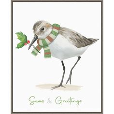 a card with a bird wearing a scarf and holding a holly berry in it's beak