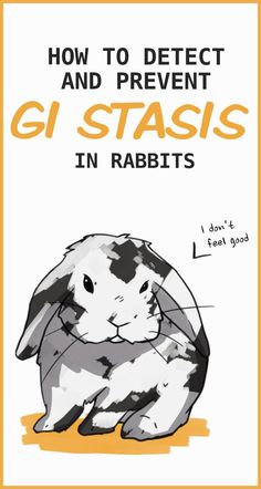 a rabbit with the words how to defect and prevent gi stasis in rabbits