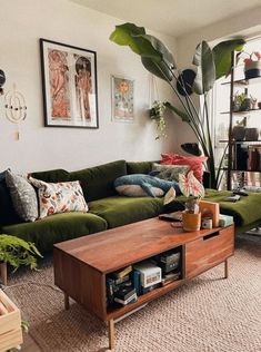 a living room filled with lots of furniture and plants on the wall above it's coffee table