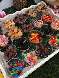 a tray filled with lots of different types of candies on top of green grass