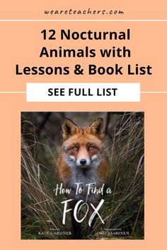 an orange book cover with the title 12 nocturn animals with lessons and book list see full list