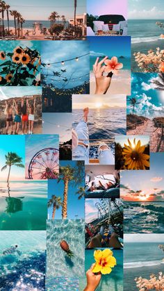 a collage of photos with flowers and people in the water at sunset or sunrise