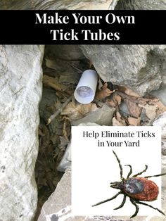 a tick that is laying on the ground next to some rocks with text reading make your own tick tubes help eliminating ticks in your yard