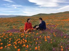 two people sitting in a field of flowers