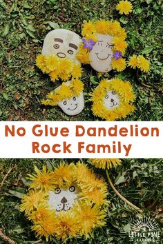 no glue dandelion rock family with sunflowers in the grass and two faces painted on them