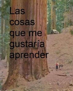 a person standing in front of a tree with the words las cosas que me gusteria aprender