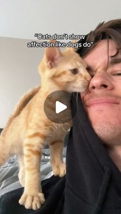 a man holding a cat up to his face with the caption that reads, cats don't show affection like dogs do