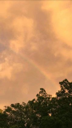 a rainbow appears in the sky above some trees