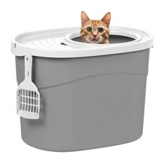 IRIS USA Oval Top Entry Cat Litter Box with Scoop, Kitty Litter Tray with Litter Catching Lid Less Tracking Dog Proof and Privacy Large, Gray/White (As an Amazon Associate I earn from qualifying purchases) Kitty Litter, Pet Playpen, Cat Water Fountain, Small Animal Supplies, Family Happy