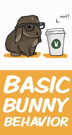 an animal with glasses next to a coffee cup and the words, basic bunny behavior