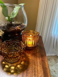 a glass bowl with a plant in it on top of a table next to a candle