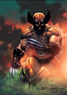 an image of wolverine in the grass with his claws out and one hand on his chest