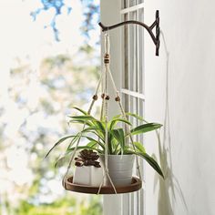 two potted plants hanging from a window sill