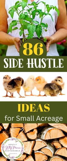 Start A New Business, Agriculture Business, Easy Ways To Make Money, Homesteading Diy, Ideas To Make Money, Ways To Make Extra Money, Farm Business, Homesteading Skills