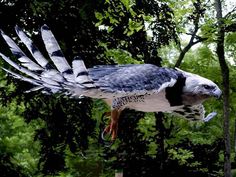 a bird flying through the air near trees