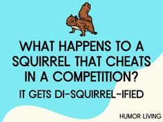 a squirrel with the words what happens to a squirrel that heats in a competition? it gets