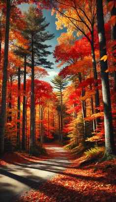 a painting of a road surrounded by trees with red and yellow leaves on the ground