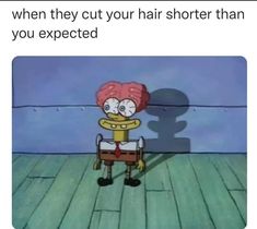 Girl Struggles, Spongebob Funny, Spongebob Memes, Very Funny Pictures, Baby Animals Funny, Funny Dude, Funny Profile Pictures, I Have No Friends, Cute Animal Photos