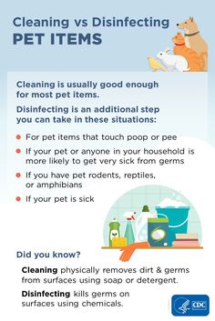 a poster describing cleaning and disinfecting pet items