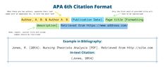 the apa citation format is shown