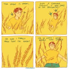a comic strip with an image of a boy in the middle of some wheat