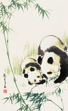 two black and white pandas laying down in the grass