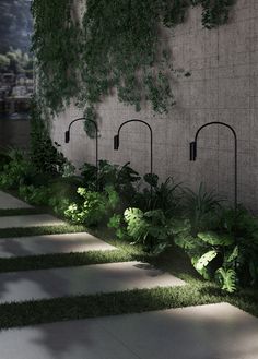 an outdoor area with grass, plants and lights