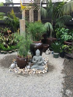 a buddha statue sitting in the middle of a graveled area surrounded by potted plants
