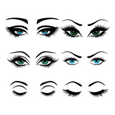 the various types of eyes with long lashes and eyelashes on each side, all showing different colors