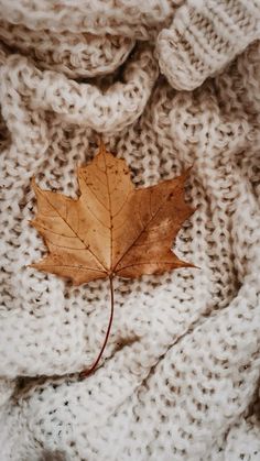 a maple leaf laying on top of a white knitted blanket in the fall or winter