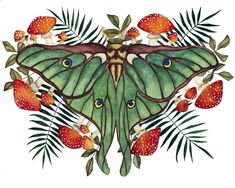 This is a high quality, professionally produced, vinyl die cut mushroom and Luna Moth decal sticker featuring my original art. This waterproof sticker features a Moth in a bed of ferns and mushrooms. It can be used as a car or mug decal, water bottle decal, car sticker, or laptop sticker among other things. The original painting was painted by me using professional grade watercolor paint on cold pressed Arches watercolor paper, in the heart of Georgia, in the USA. (You can check out videos of my Upcycling, Mind Organization, Moth Decor, Sticker Mushroom, Honey Bee Sticker, Moth Sticker, Nature Decal, Moth Print