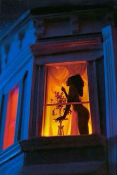 a woman is standing in an open window