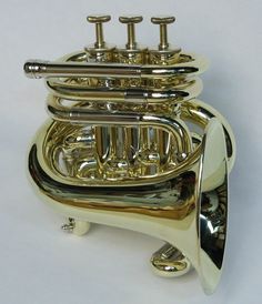 an image of a brass musical instrument