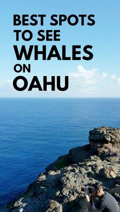 a man sitting on top of a rock next to the ocean with text overlay reading best spots to see whales on oahuu
