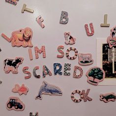 the magnets on the refrigerator are decorated with animals and letters