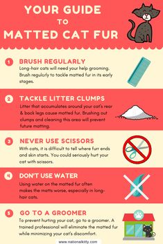 the ultimate guide to cleaning your cat's fur info sheet with instructions on how to use