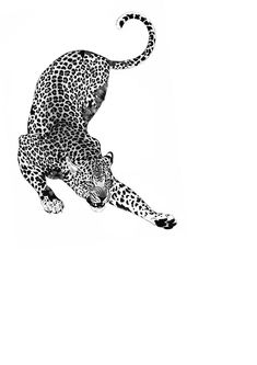 a black and white drawing of a cheetah on its hind legs in the air