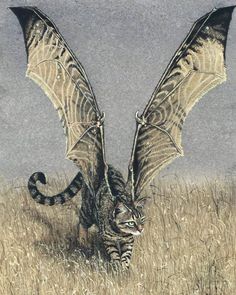 a cat is walking through the tall grass with its wings spread out and it's eyes open