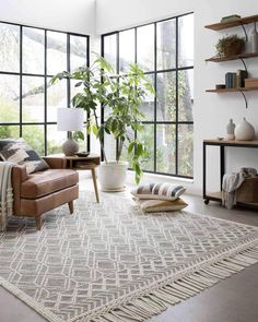 a living room filled with furniture and lots of window sill space next to a large potted plant