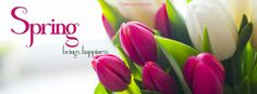 pink and white tulips in a vase with the words spring written on it