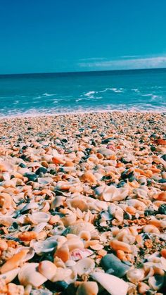 the beach is covered with shells and blue water in the backgrounnds