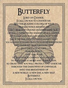 Celtic Wicca, Real Love Spells, Butterfly Silhouette, Animal Spirit Guides, Butterfly Quotes, Healing Spells