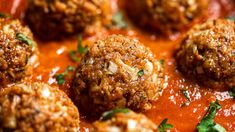 meatballs covered in marinara sauce and parsley on top of a plate with breadcrumbs