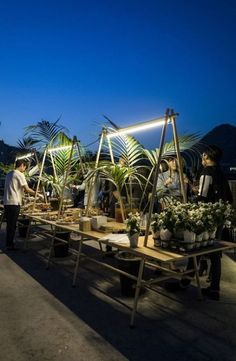 people are looking at potted plants on tables in the evening time with blue sky and mountains behind them