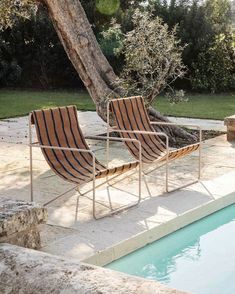 two lounge chairs sitting next to a tree near a swimming pool in a backyard area